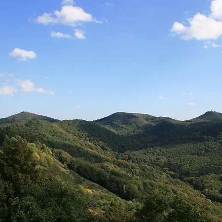 Azk Arbeitnehmer Zentrum Königswinter