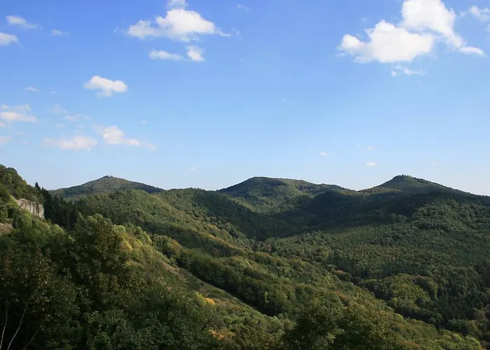 Azk Arbeitnehmer Zentrum كونغسوينتر